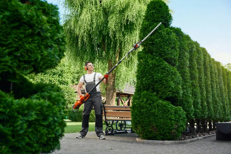 Gärtner trimmt eine Hecke im Hinterhof in Wien